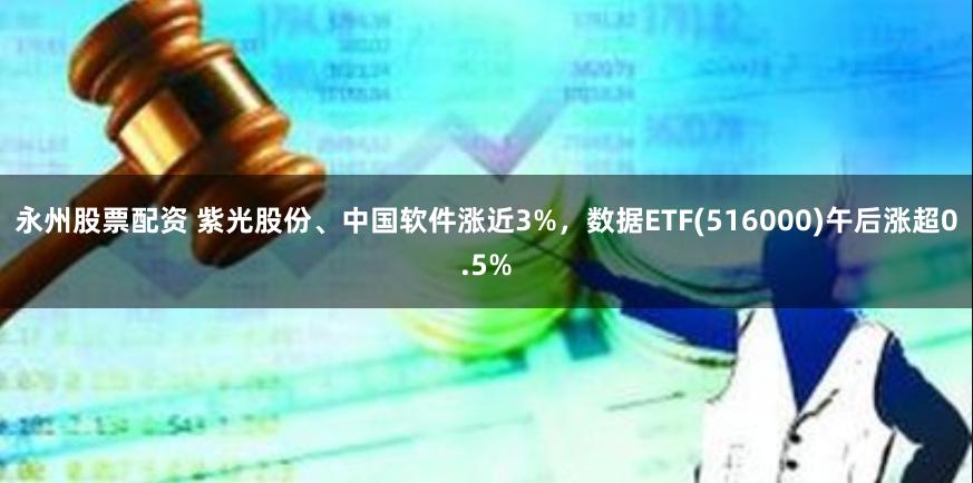 永州股票配资 紫光股份、中国软件涨近3%，数据ETF(516000)午后涨超0.5%