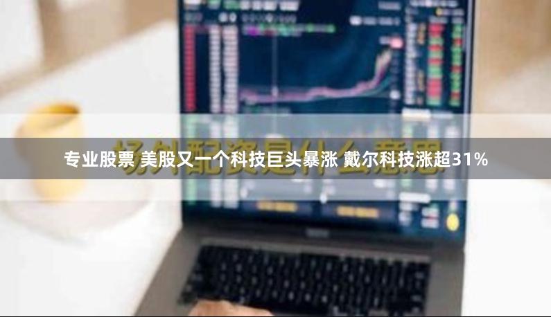 专业股票 美股又一个科技巨头暴涨 戴尔科技涨超31%