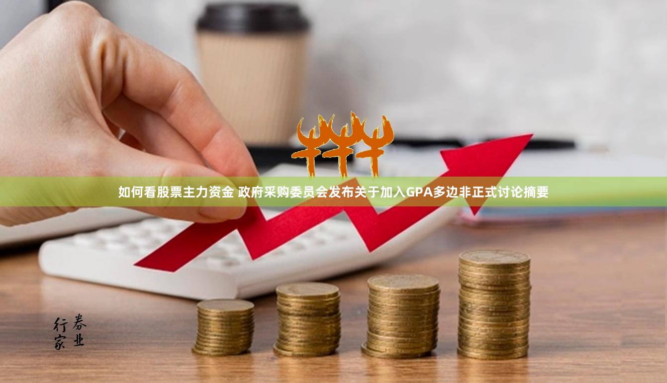 如何看股票主力资金 政府采购委员会发布关于加入GPA多边非正式讨论摘要