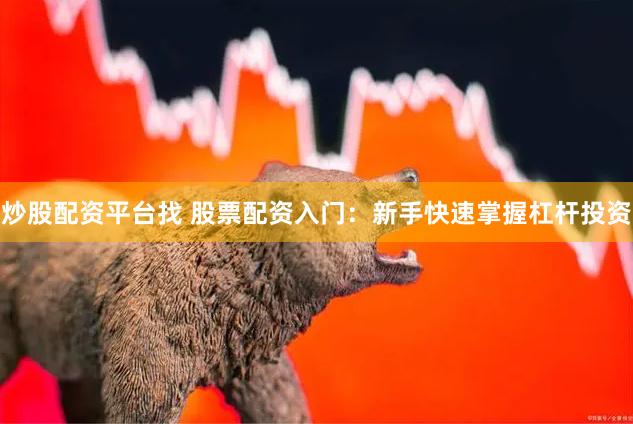 炒股配资平台找 股票配资入门：新手快速掌握杠杆投资